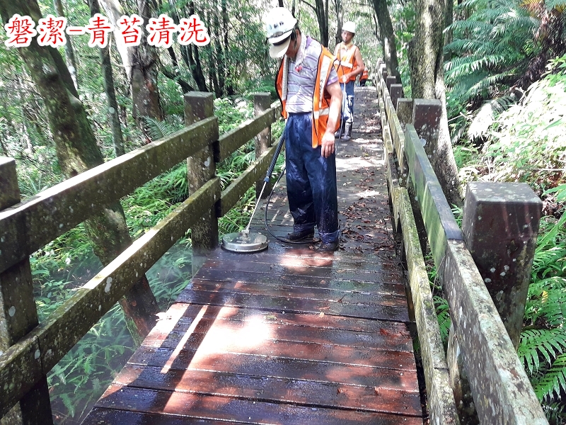 磐潔-木板步道-青苔清洗